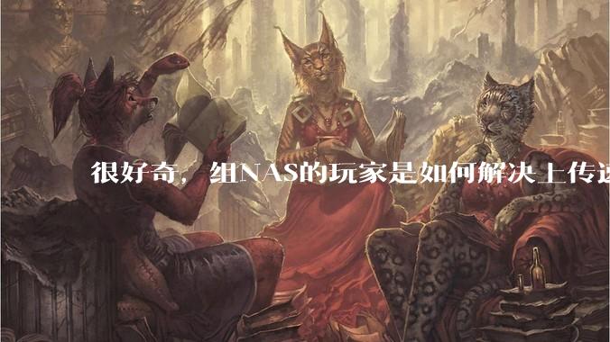 很好奇，组NAS的玩家是如何解决上传速率的问题?