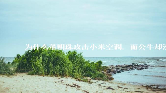 为什么董明珠攻击小米空调，而公牛却没有攻击小米插座？