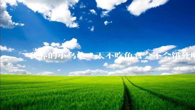 我养的小乌龟一天不吃龟食会不会饿死呢？