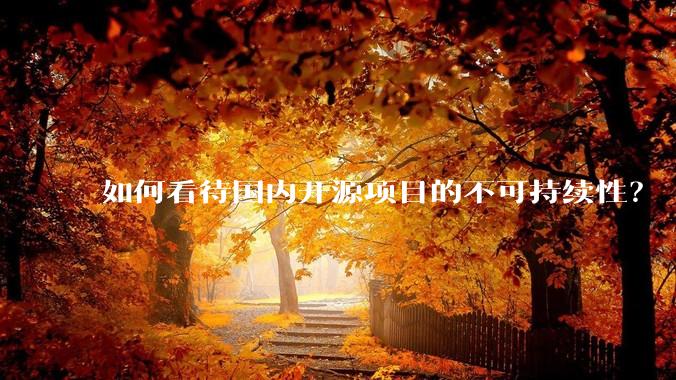 如何看待国内开源项目的不可持续性？