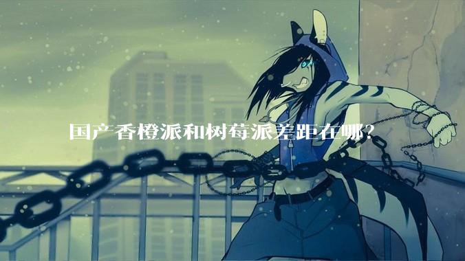 国产香橙派和树莓派差距在哪？
