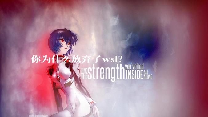 你为什么放弃了wsl？