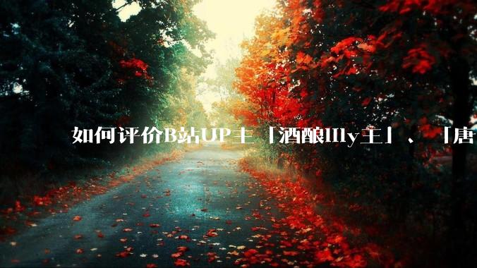 如何评价B站UP主「酒酿lily王」、「唐卡七」等穿搭类UP主被封禁？