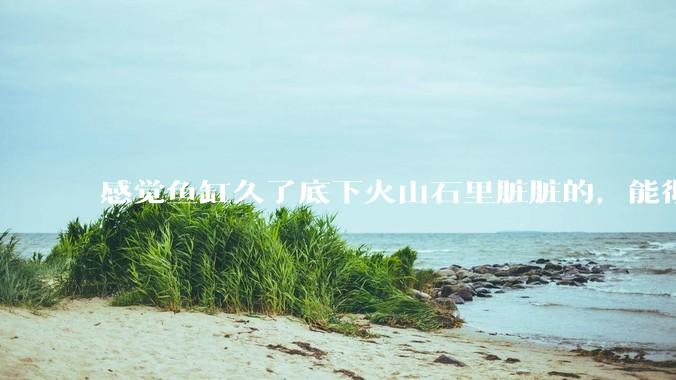 感觉鱼缸久了底下火山石里脏脏的，能彻底换水清理一遍不？