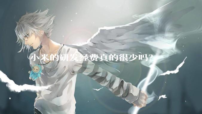 小米的研发经费真的很少吗？