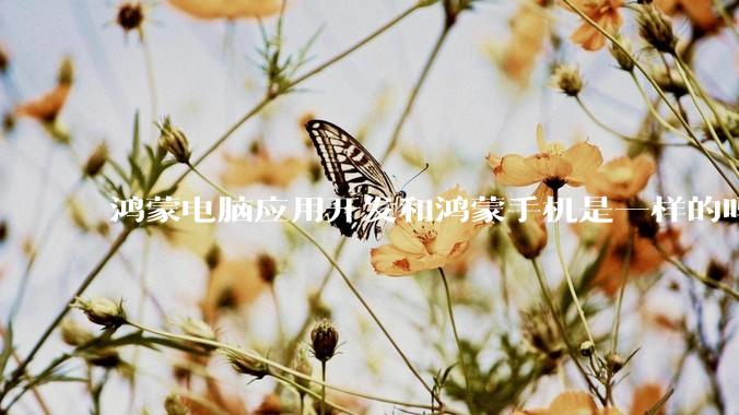 鸿蒙电脑应用开发和鸿蒙手机是一样的吗？