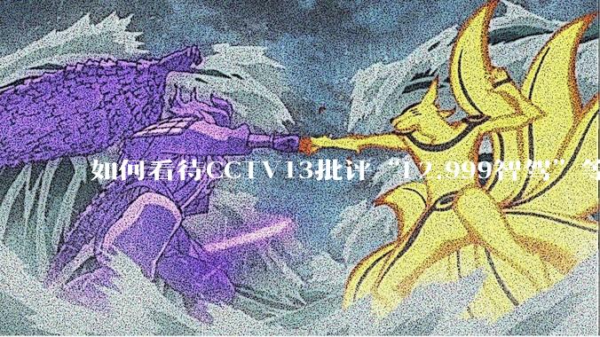 如何看待CCTV13批评“L2.999智驾”等误导性宣传，若导致事故车企可能需要担责？