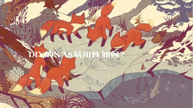 DIY的NAS易用性如何？